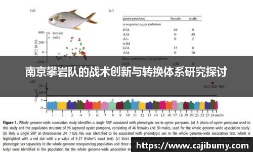 星空体育(中国)官方网站